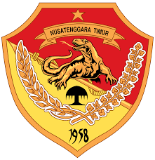 Pemerintah Provinsi Nusa Tenggara Timur